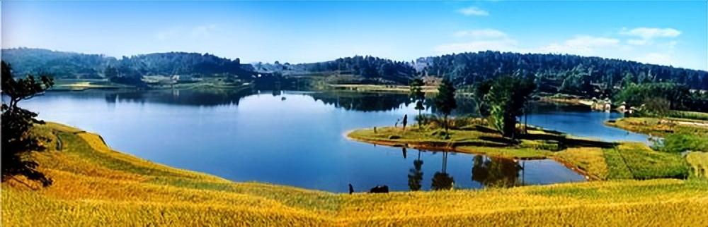 生态环境修复责任在实践中的问题,生态修复是美丽中国的重要途径