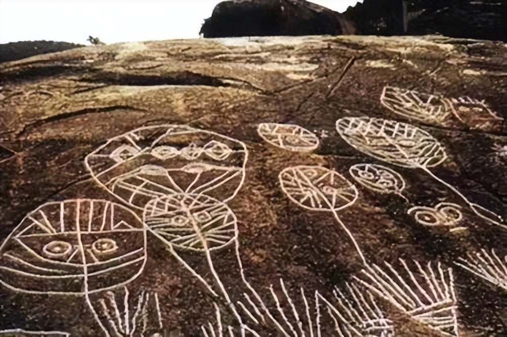 字画收藏展现独特魅力,不一样的书法人