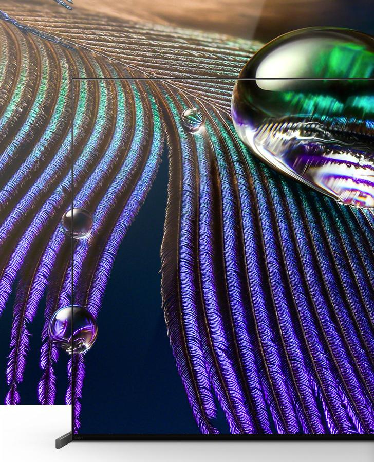 618建议买的三款电视,推荐几款性价比高电视