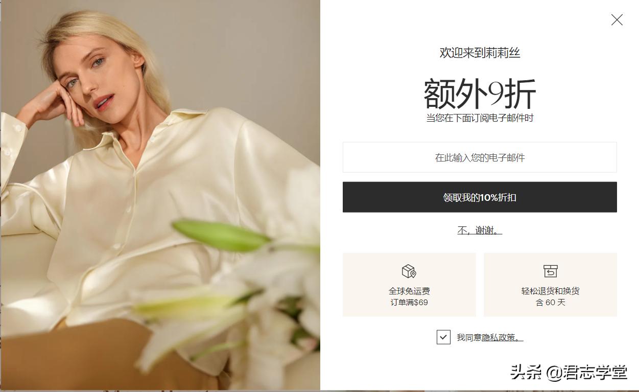 lilysilk专卖店是中国的牌子吗,lilysilk真丝枕头