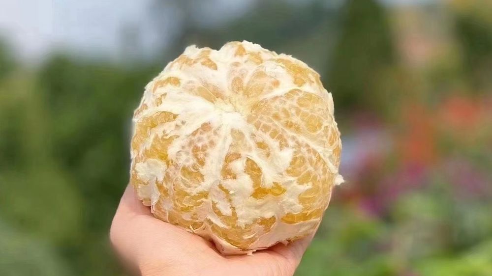 现在开个水果店还有前景吗,开一个优质水果店挣钱吗