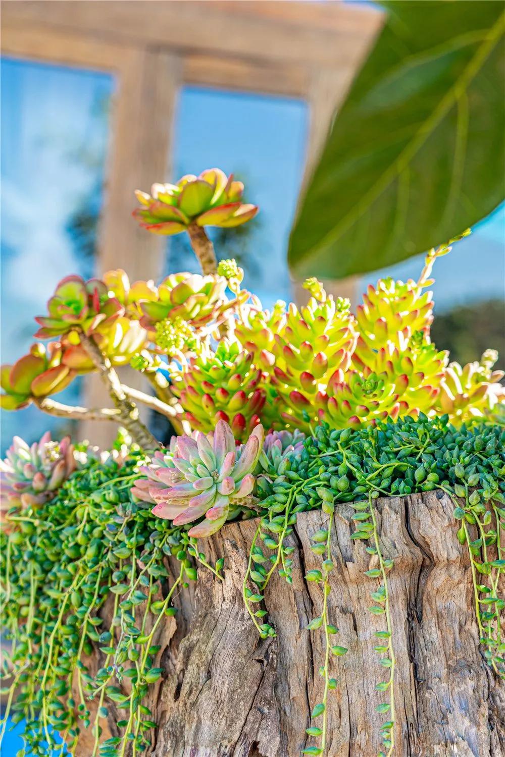 带你去双廊,住在浪漫的双廊洱海边看风景