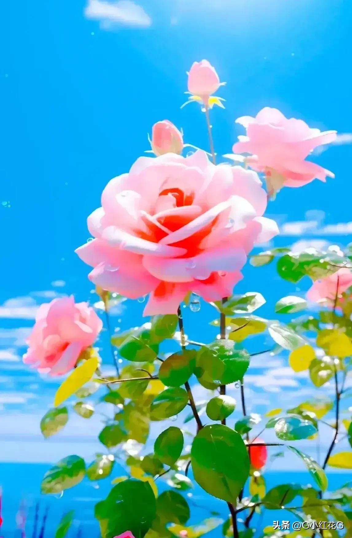 现货黄金技术分析教程入门,现货黄金技术分析视频