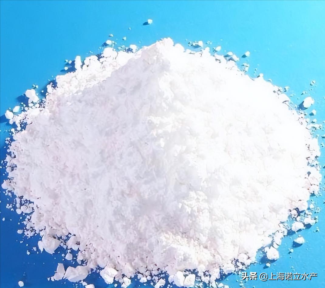 虾塘出现大量死藻怎么办,养虾吹东风倒藻咋处理