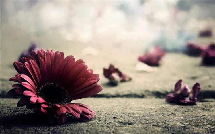 中国公务员的工作现状,公务员现状大揭秘