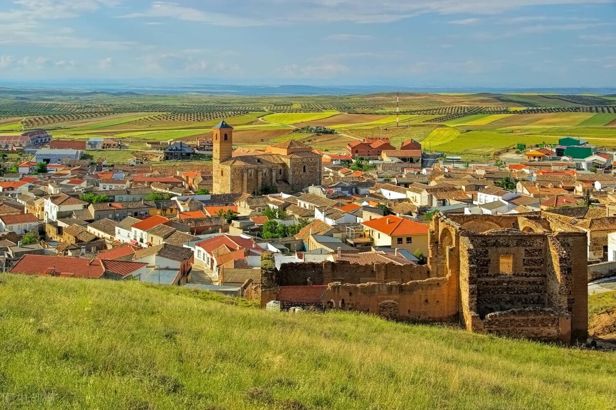 西班牙移民项目流程,西班牙新移民种类介绍图