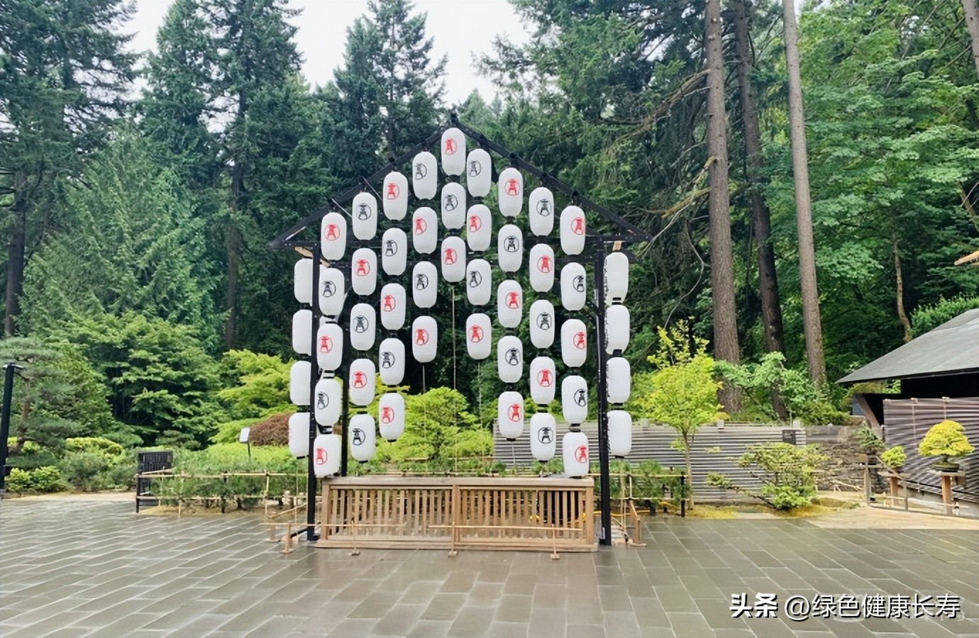 波特兰日本花园游玩,世界花园打卡