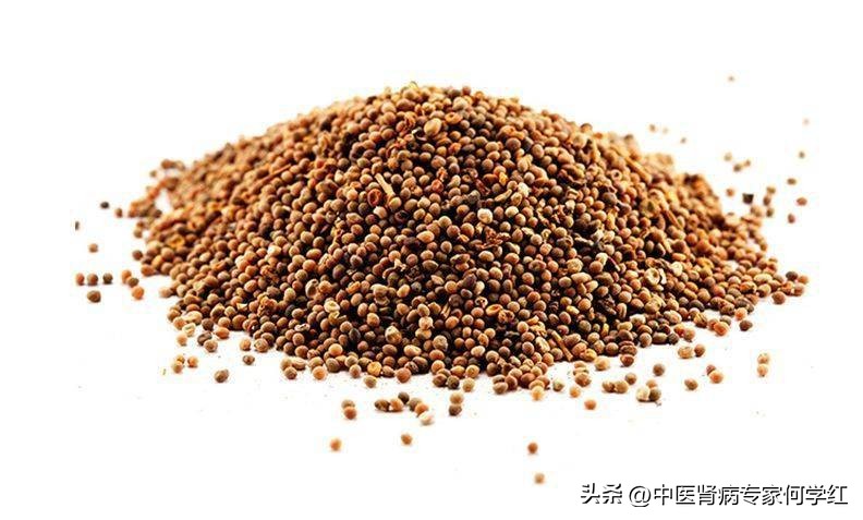 肾毒中药,排肾毒中药