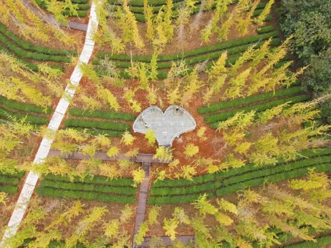 南昌的秋天文案,南昌的秋天闪闪发光