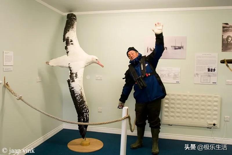 罕见的28张图片看了让人大开眼界,令人大开眼界的二十张图