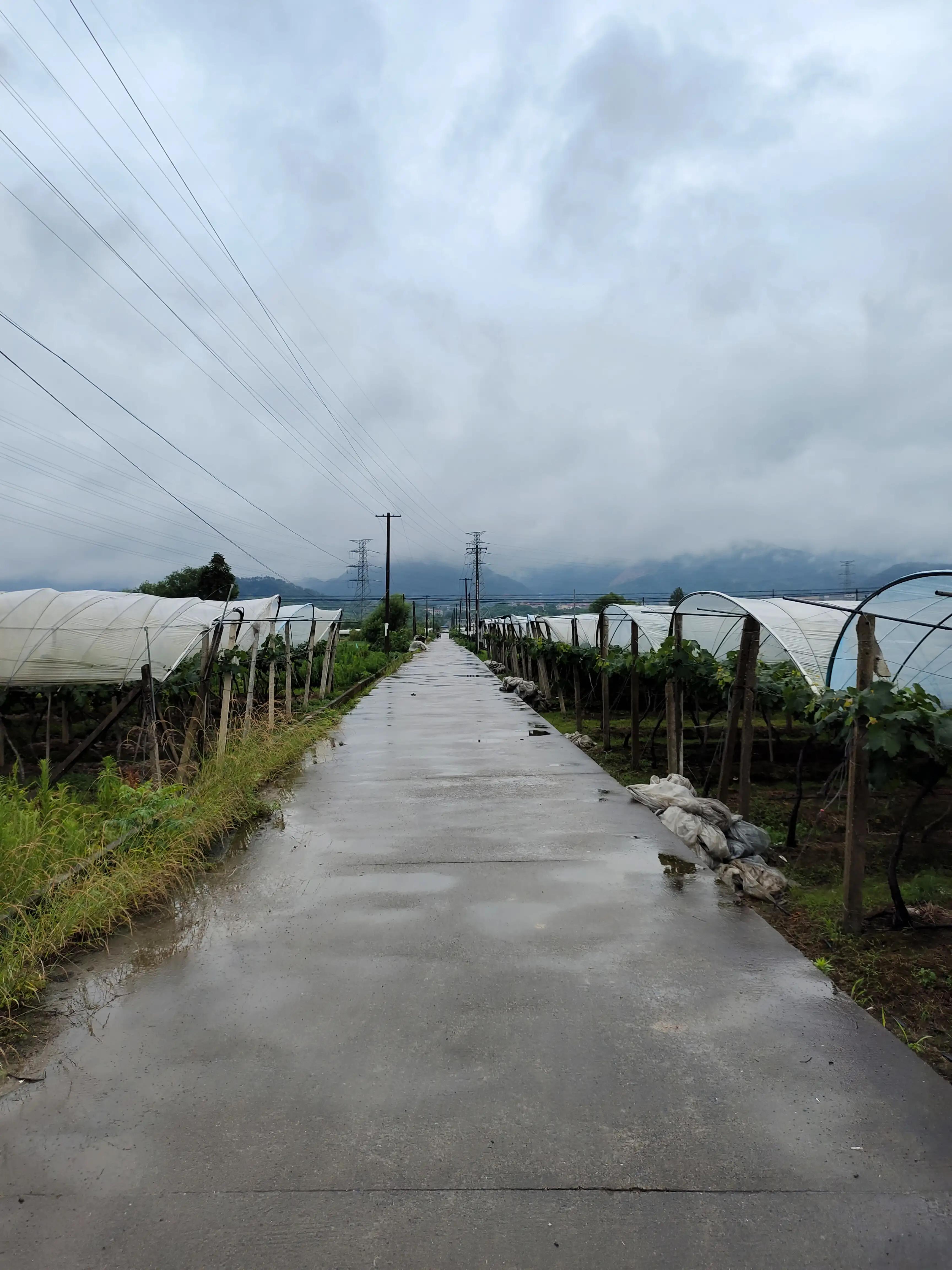 兰溪市云山街道盛道院村