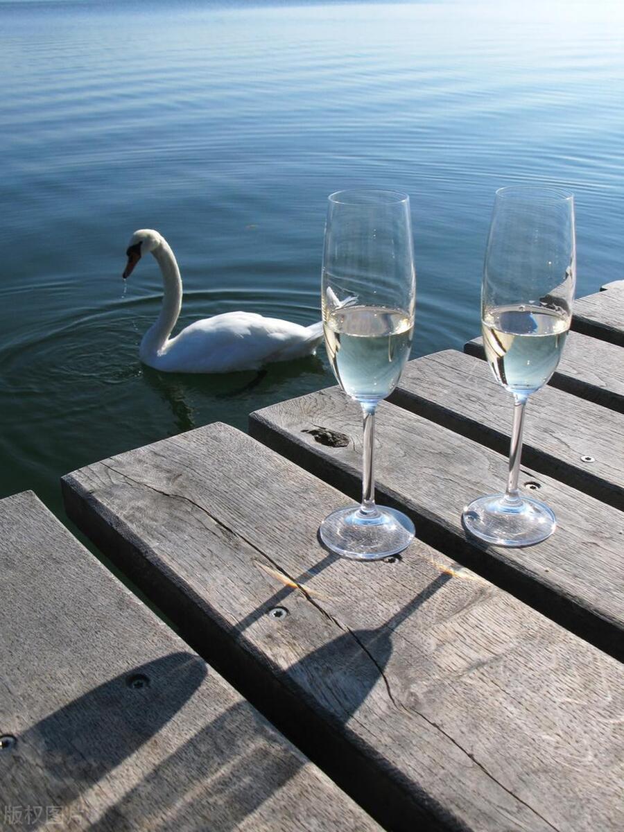 请说出5个法国葡萄酒产区名称,简述中国葡萄酒的主要产区及名品