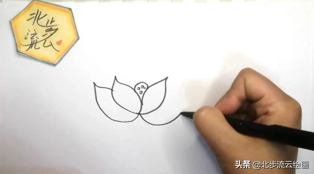 青蛙和荷花简笔画简单又好看,荷花手抄报简单又漂亮简笔画