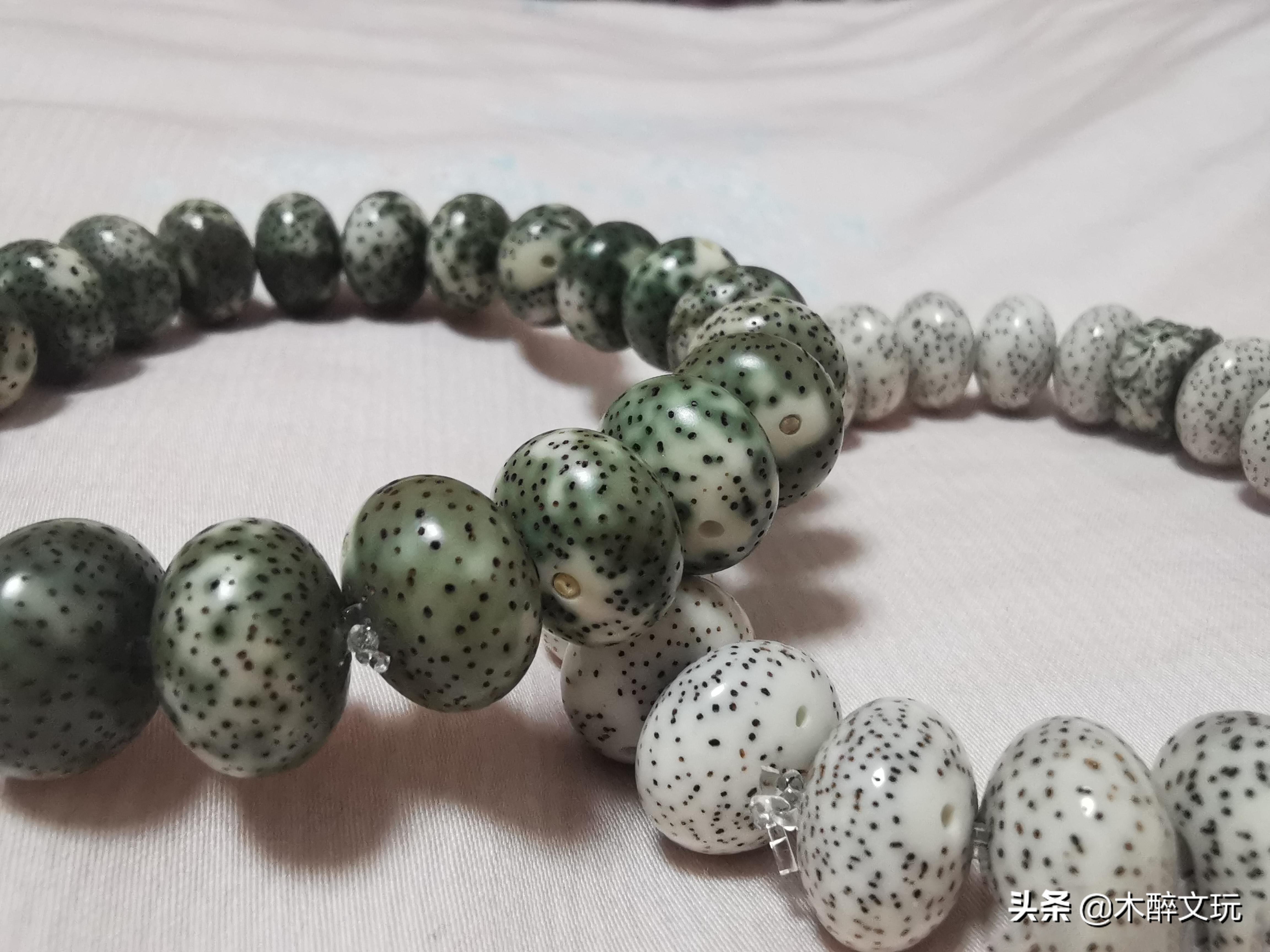 星月菩提的阴皮,星月菩提绿阴皮是怎么形成的