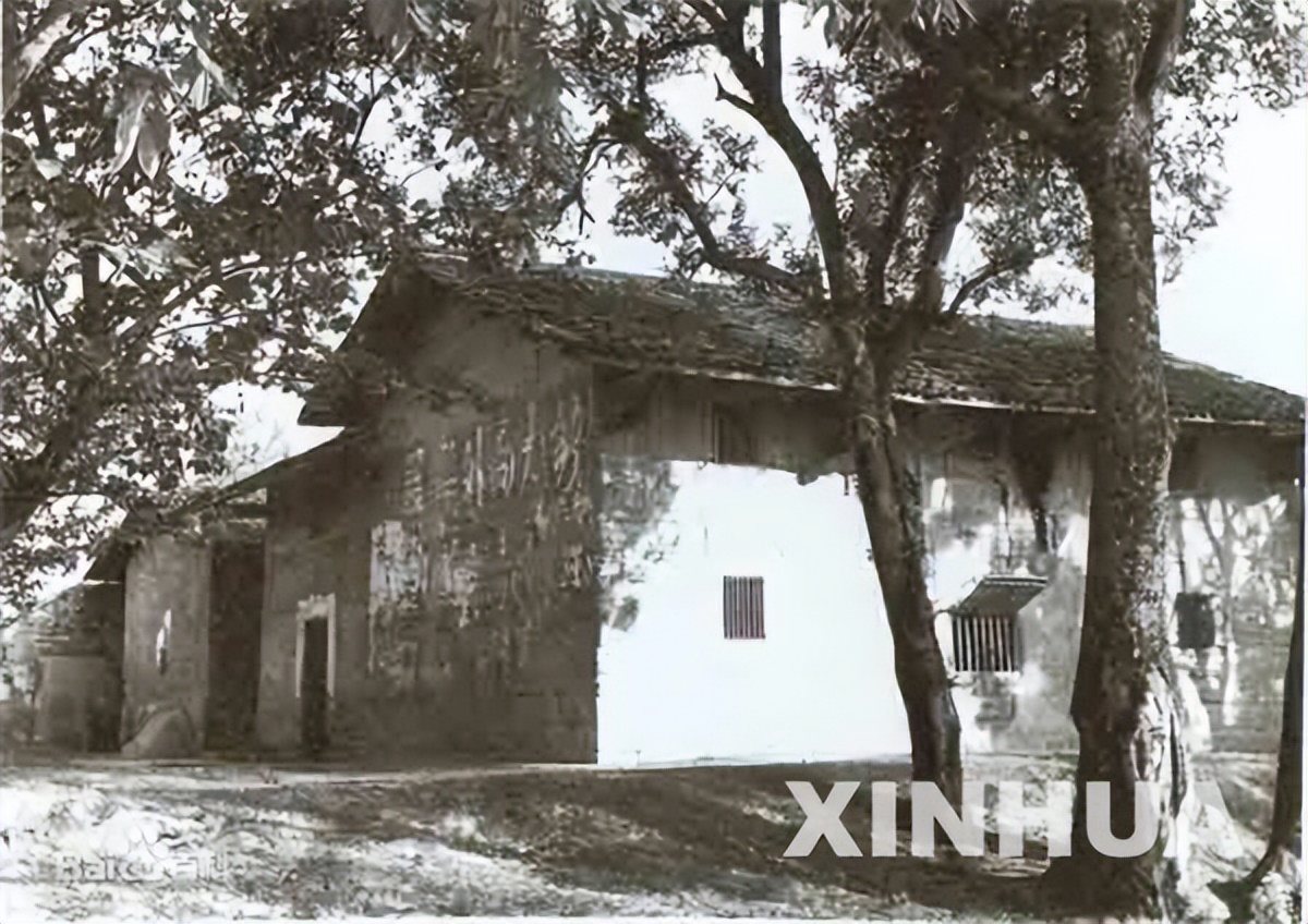 历史上的今天11月7日,历史上的今天11月7号