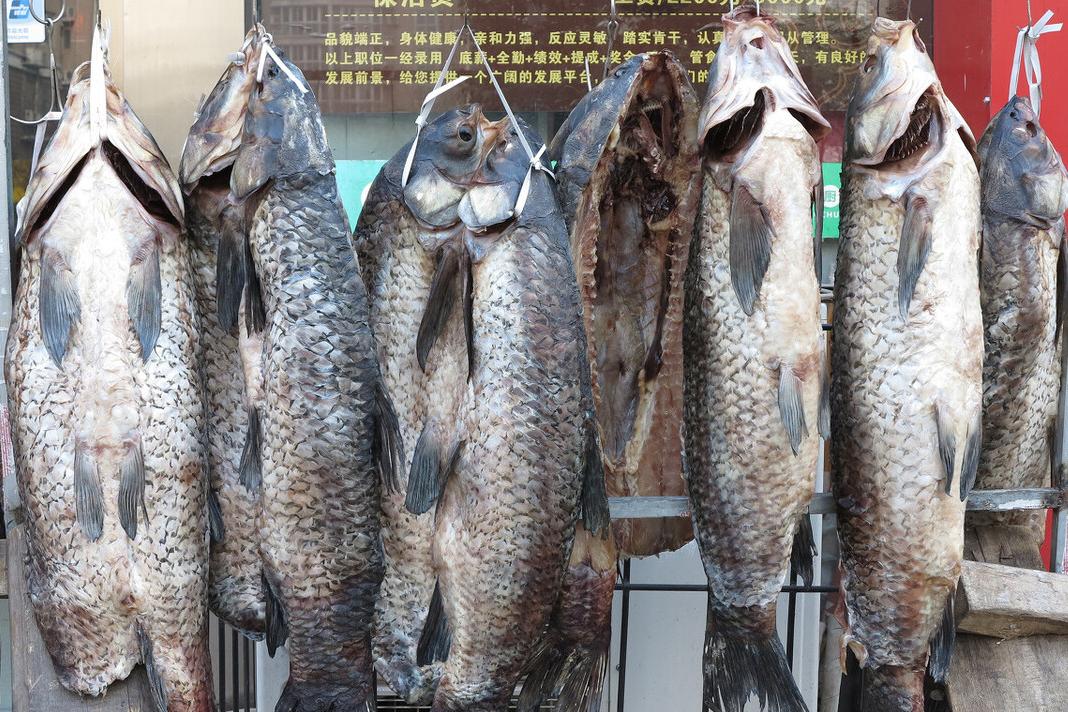 腌腊鱼的正确方法和步骤,腌腊鱼到底要不要洗