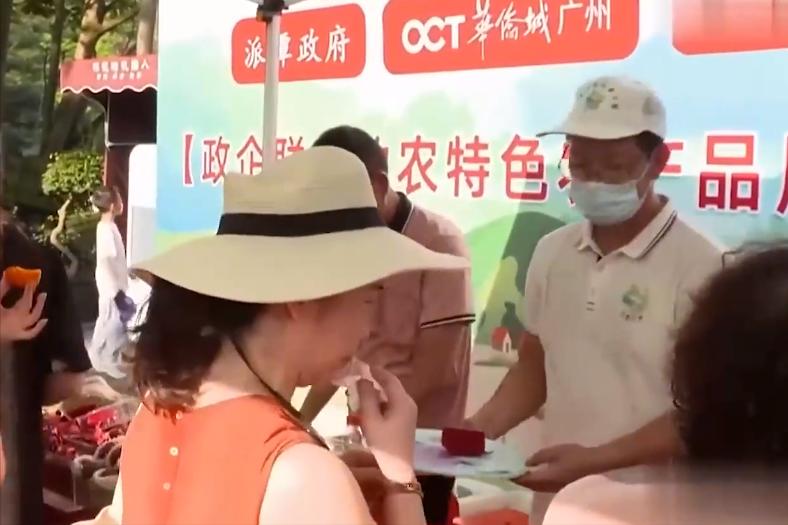 小伙子种火龙果四年身价过亿,种植火龙果一年挣1千万