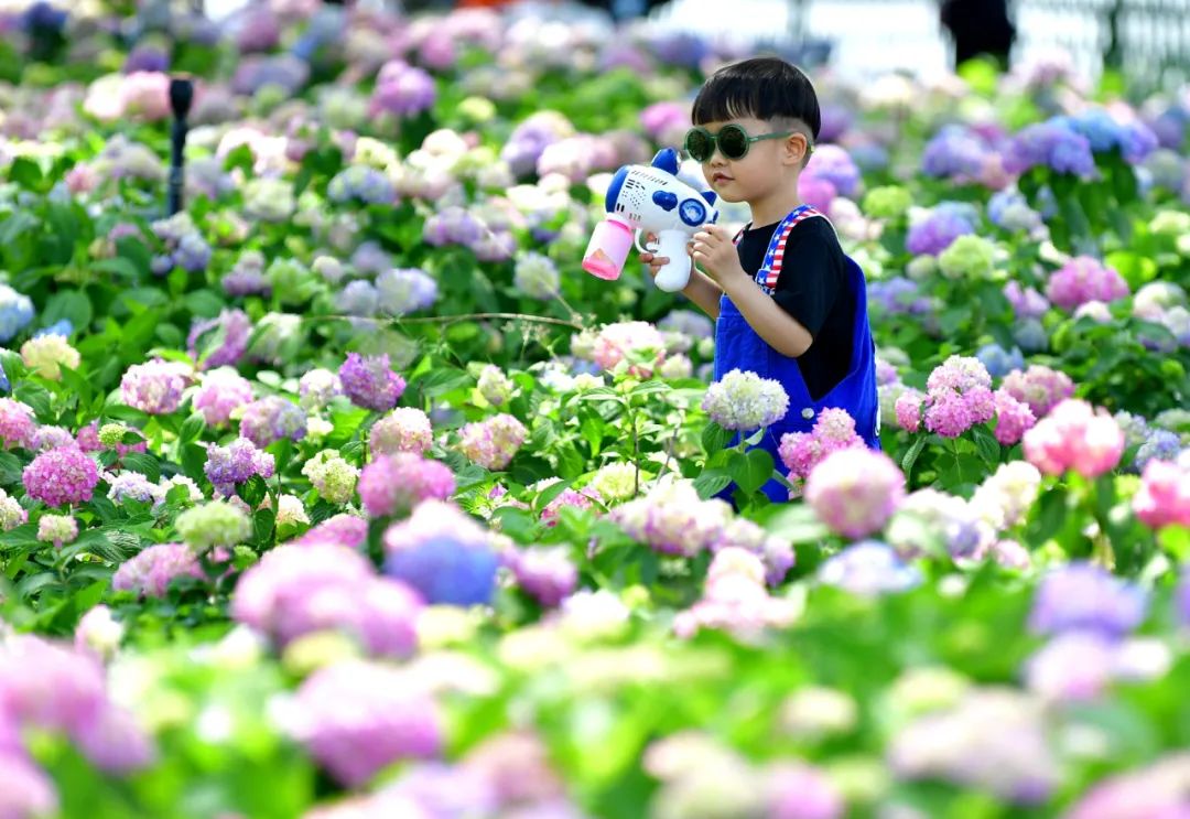 武汉园林城市,武汉生态园林城市