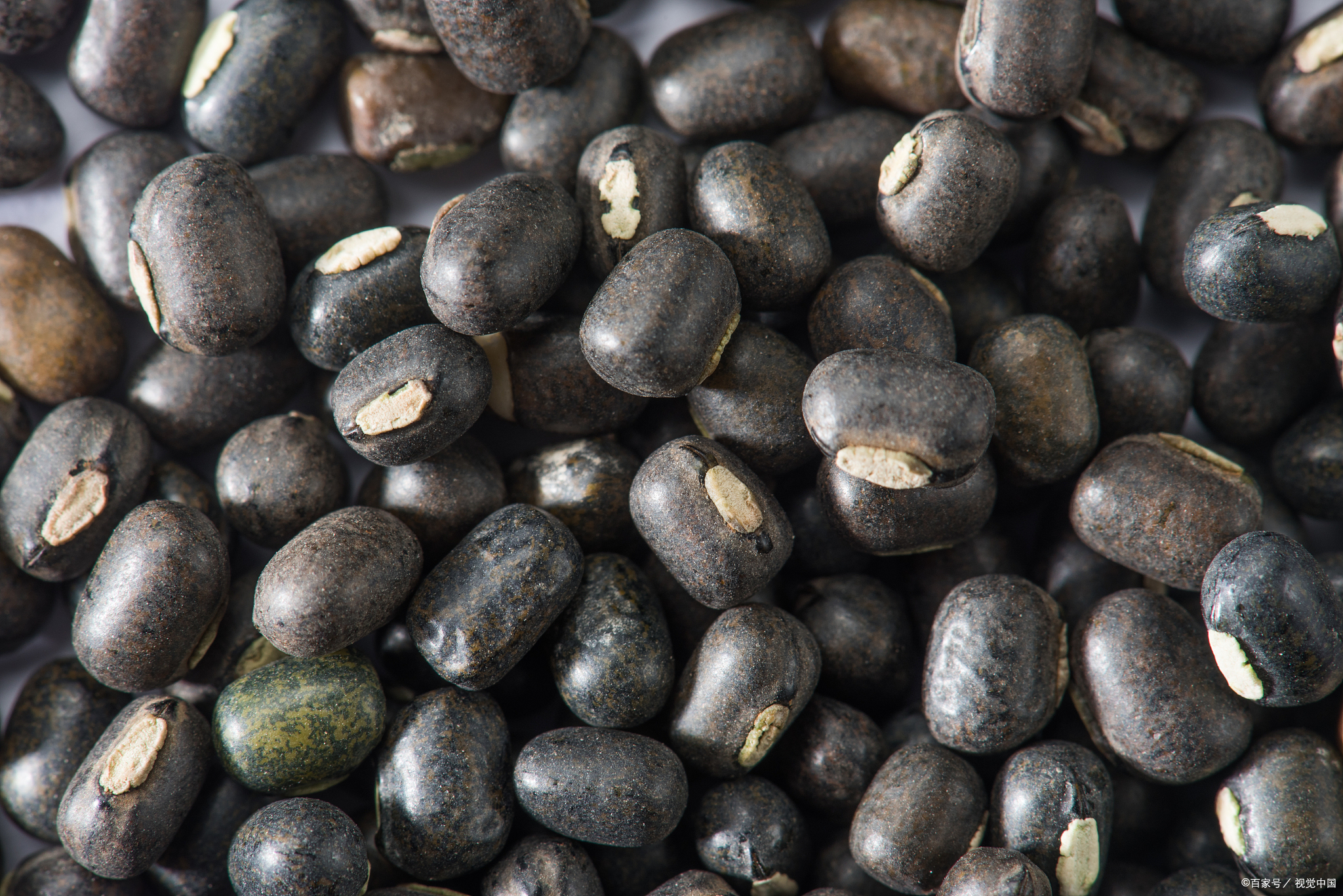 海南省海口市十大特产,海口特产最好品牌有哪些