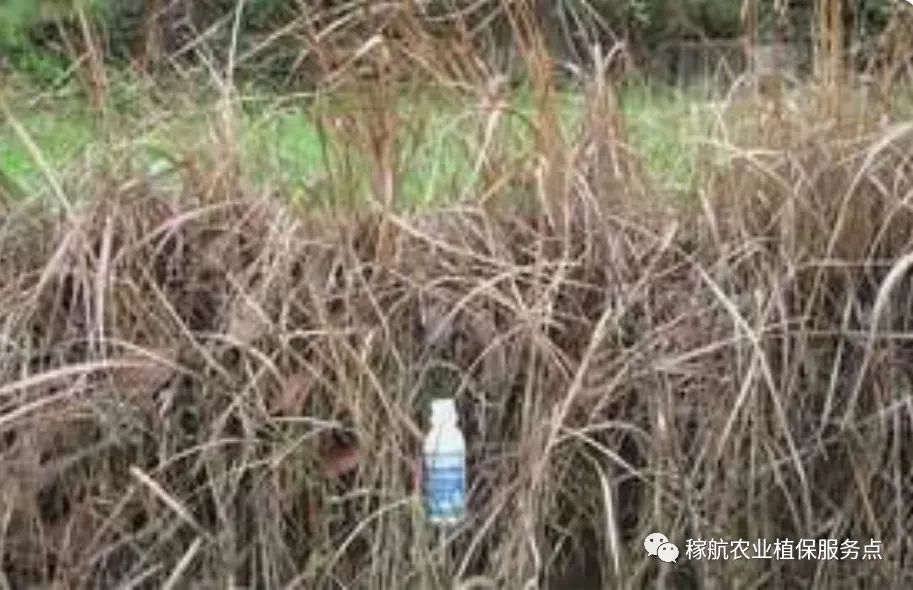 草甘膦这样复配，除草干净又彻底