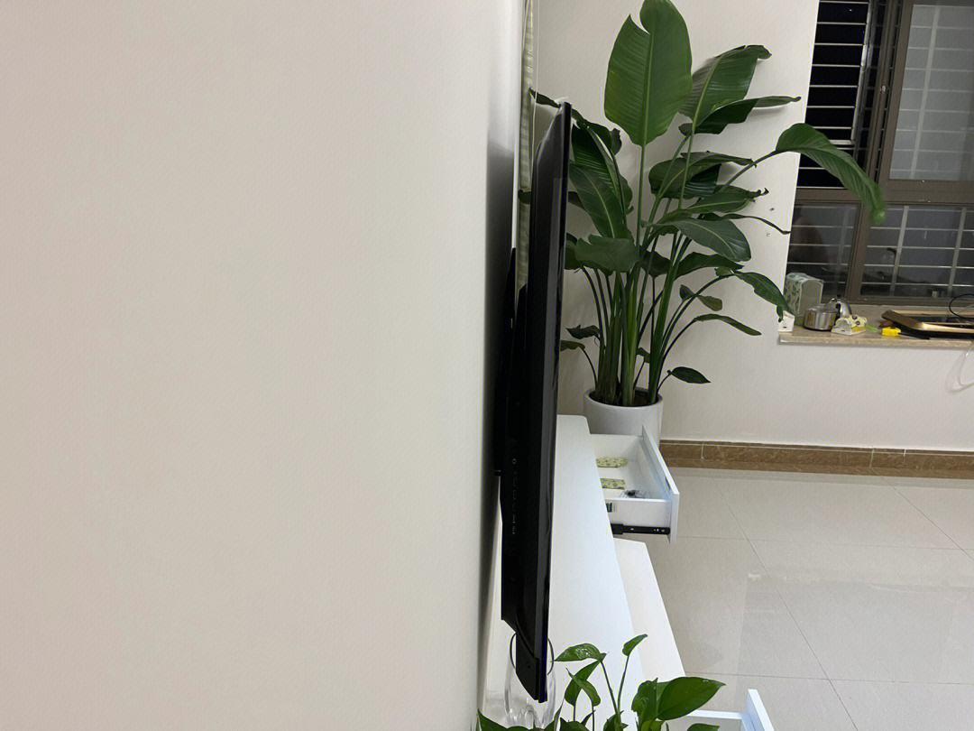 65英寸的电视哪一款好,65英寸的电视哪个品牌的好一点