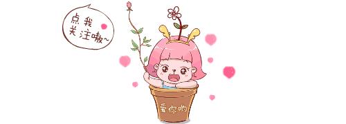 被问了三千遍装修是找公司还是装修队？这里为你解答