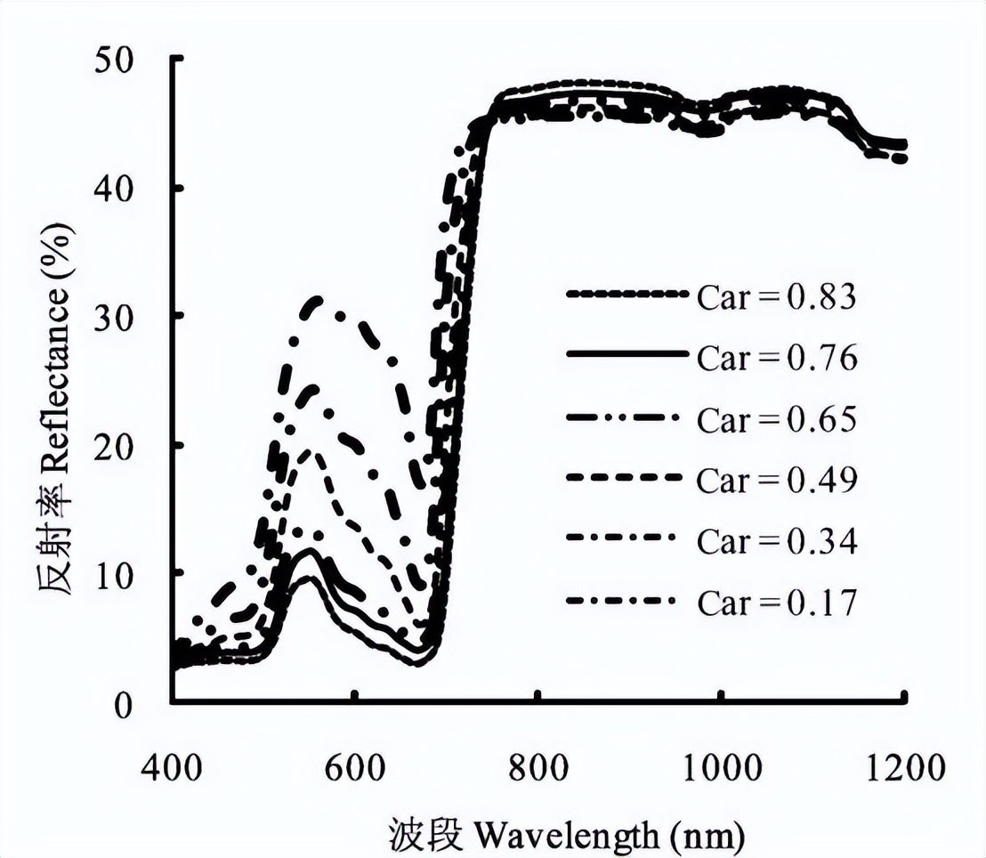 利用高光谱参数反演水稻叶片类胡萝卜素含量-莱森光学
