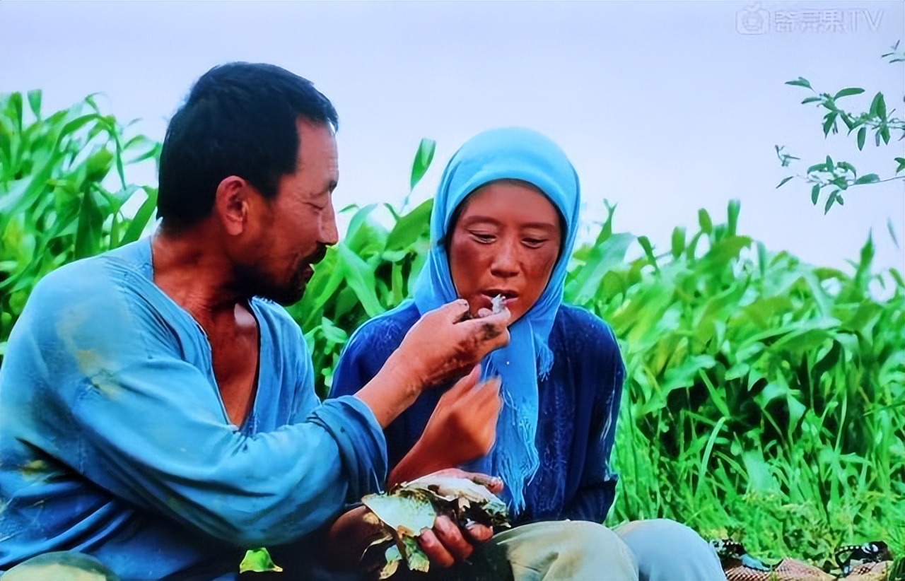 同为“文艺片”《隐入尘烟》到底凭什么能创新高，口碑爆棚？