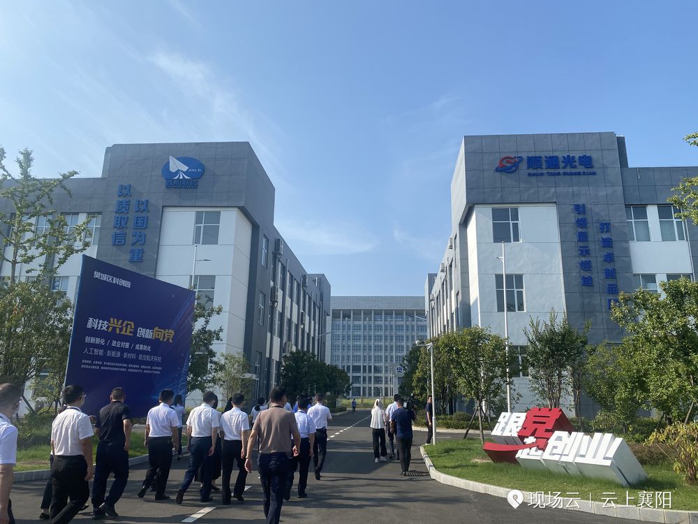 近期亮点项目分享,藏不住了的惊喜清单