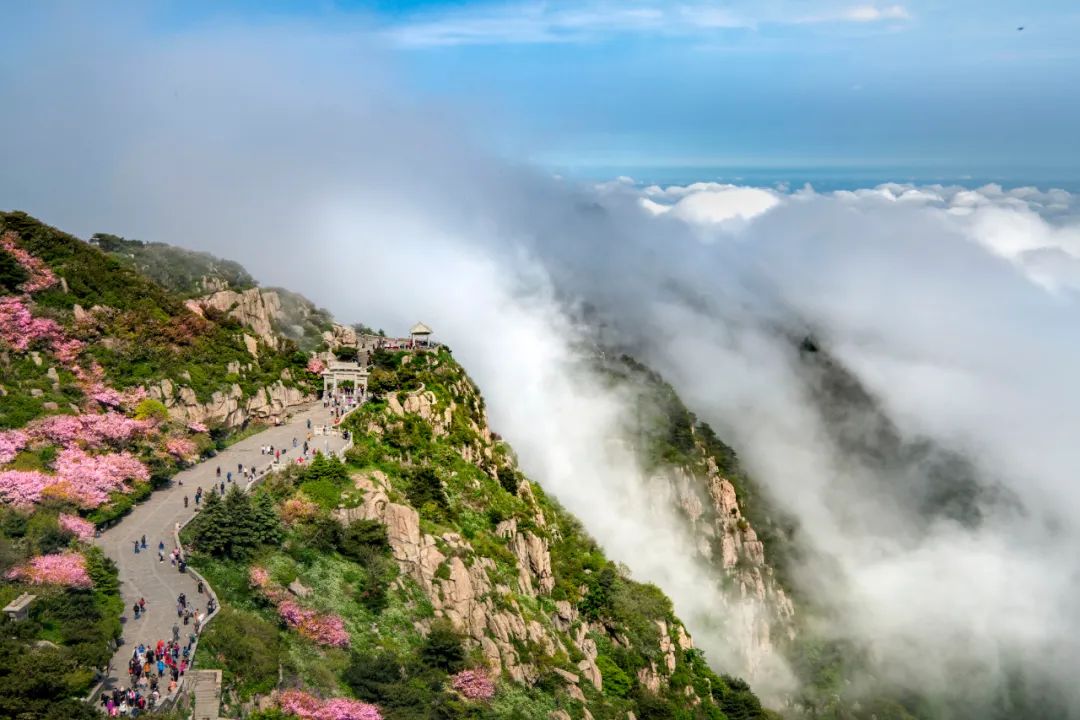 山东或成五一国内游新“顶流”,山东有望成为旅游顶流