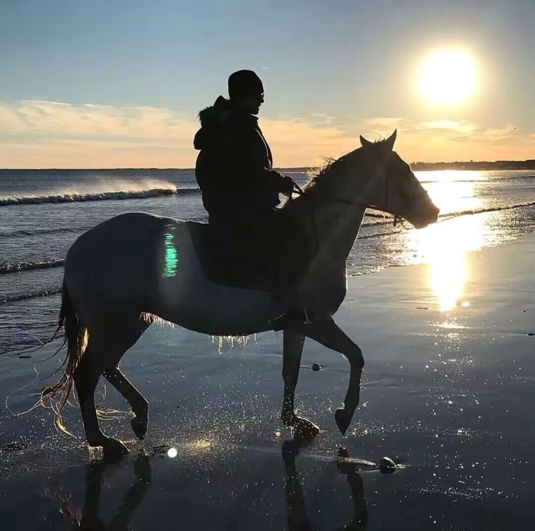 欧美之争,2021年欧美巅峰对决