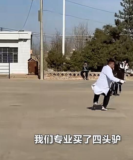 谁的毕业论文在乱跑啊,谁的毕业论文在乱跑