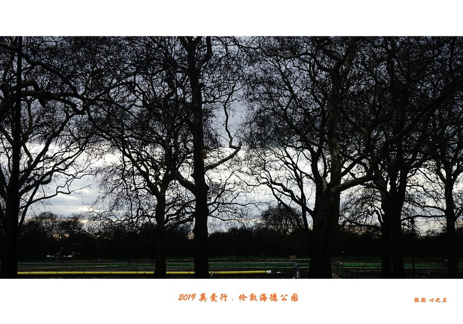 伦敦海德公园英国最大的皇家公园,浮光掠影免费阅读全文