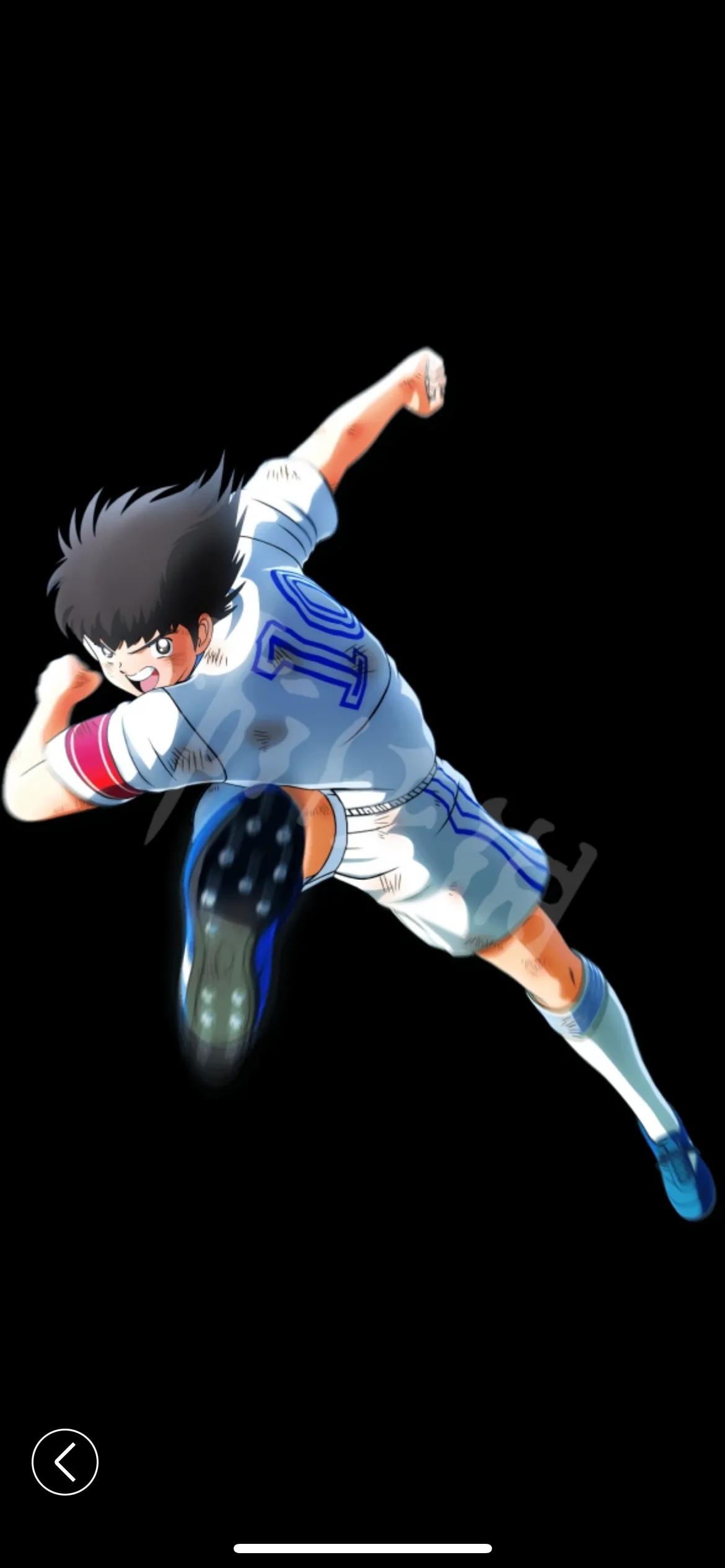 大空翼是什么意思,大空翼叫什么