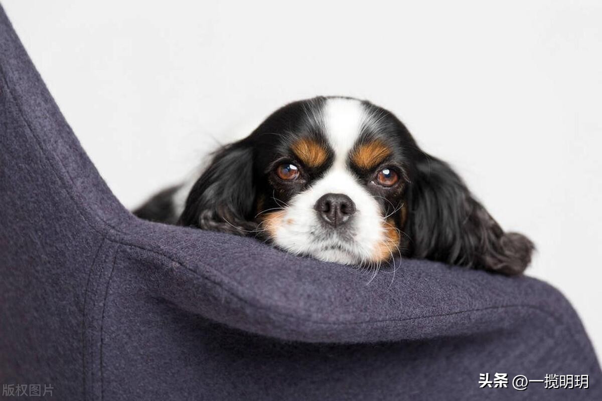 有哪些网站你一旦知道就离不开它,哪些是你离不开的网站