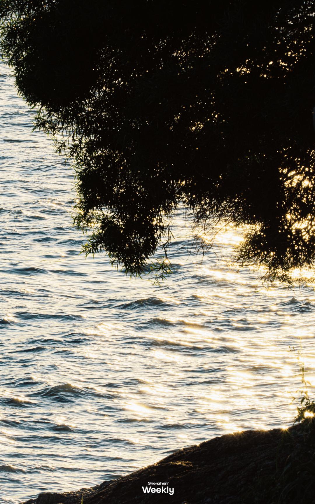 深圳玻璃海适合什么季节去,深圳适合藏玻璃海的地方