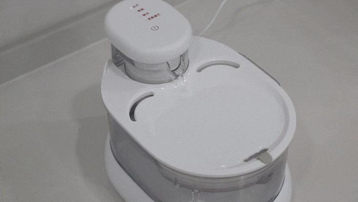 各种品牌宠物自动饮水机测评,安全宠物饮水机测评