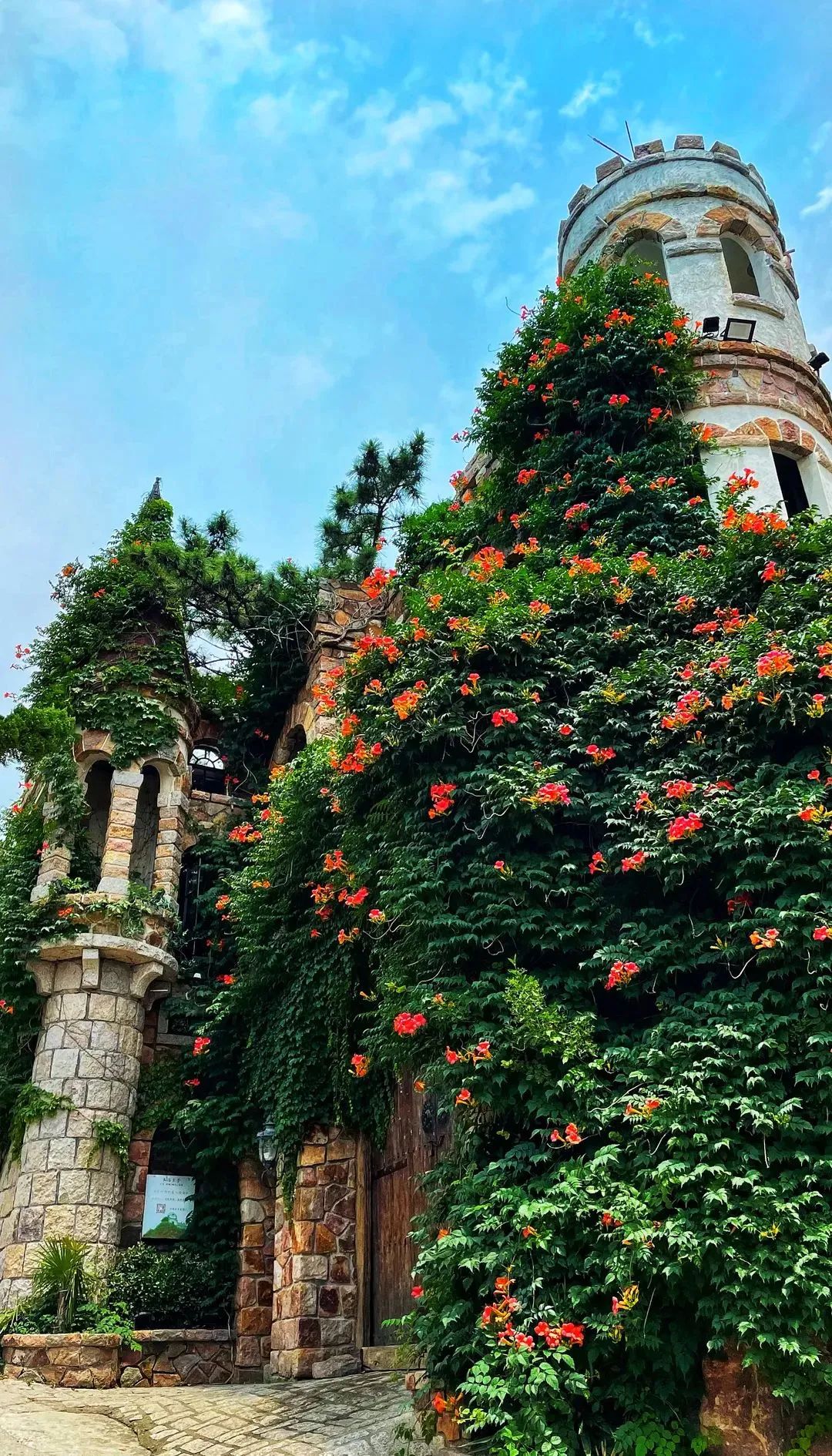 青岛绝美海滩,青岛最好的无人海滩