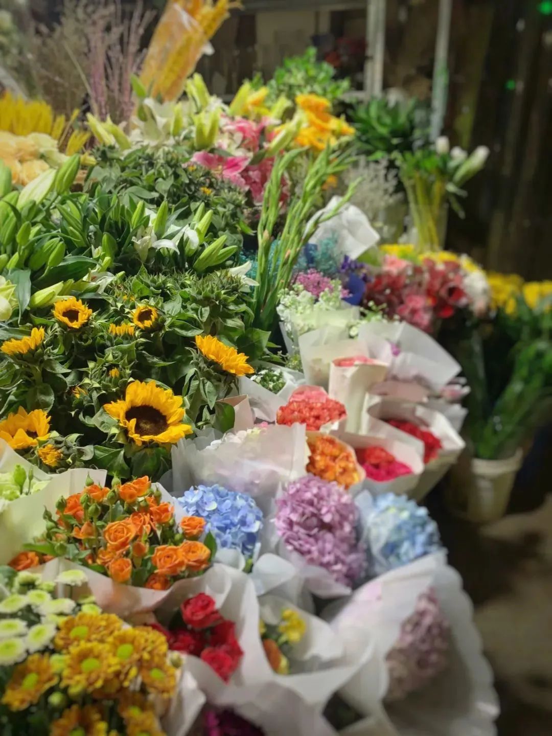 济南花市排名,济南赏花打卡地