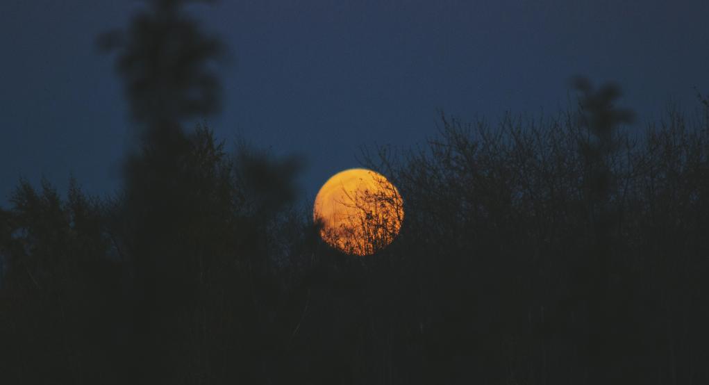 【网络中国节•中秋】中秋节的来历，你知道吗？
