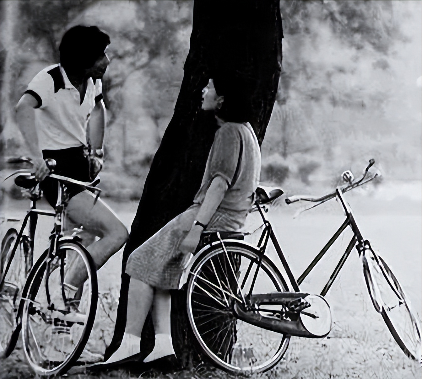 40年前凤凰自行车,40年前凤凰自行车二八大杠多少钱