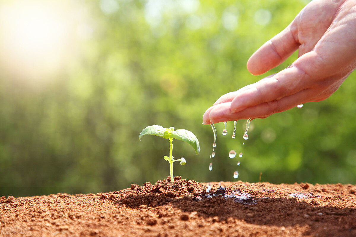 别再只会说“你好，四月”了，英文版谚语帮你提升朋友圈逼格
