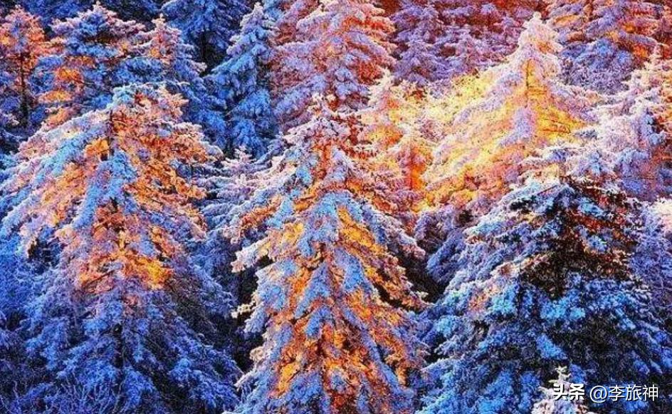 冰雪游专列,冰雪列车东北之旅