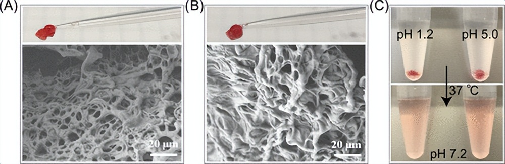 水凝胶抗菌测试标准,水凝胶抗菌试验