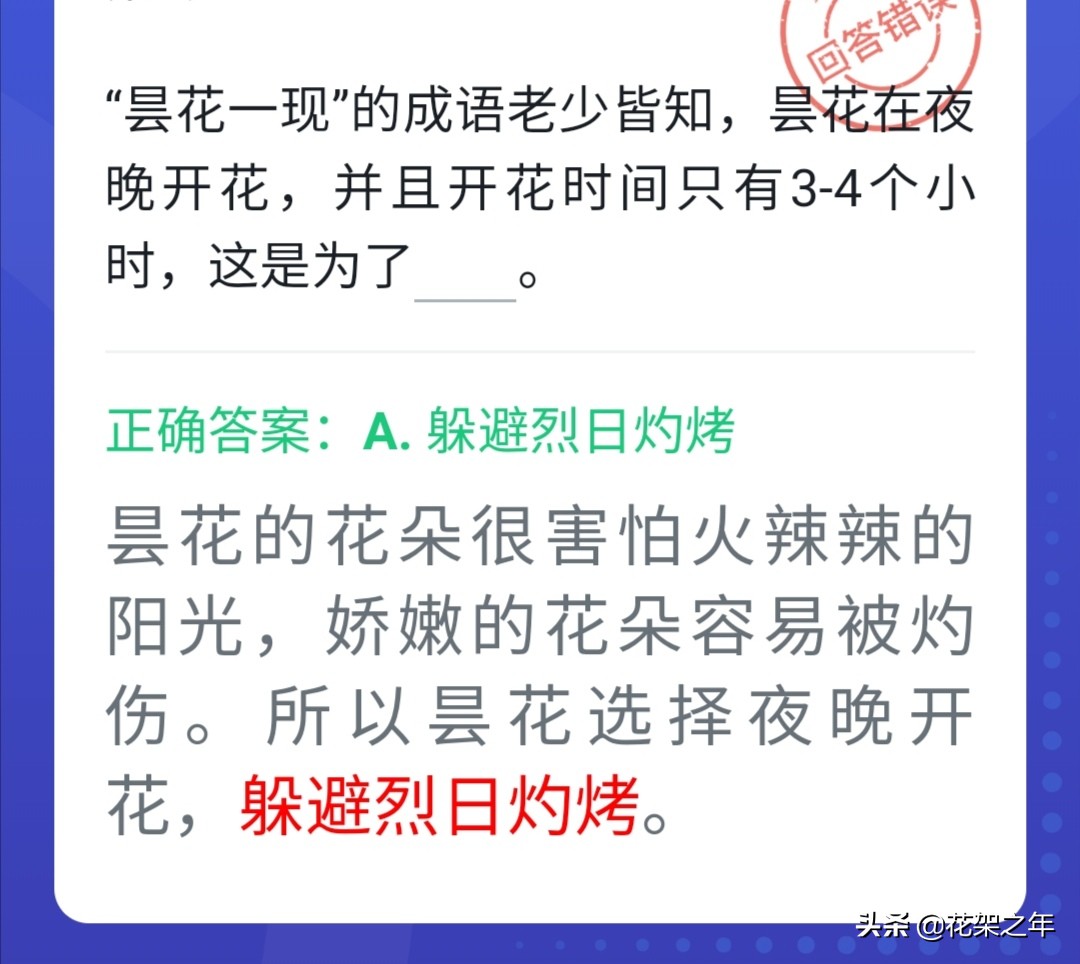 与花有关的文章题目,和花卉有关的字词