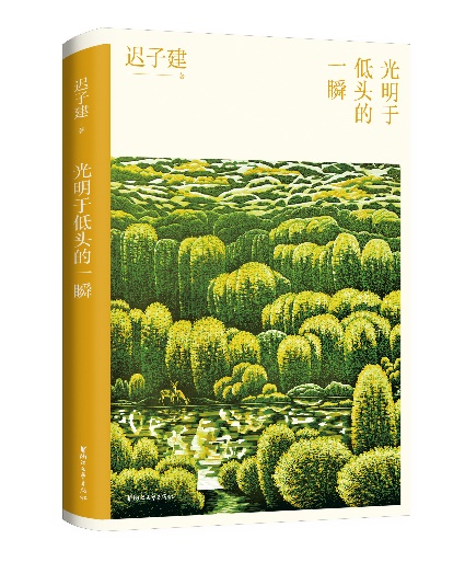 迟子建落在岁月里的温暖,迟子建小说的爱的主题