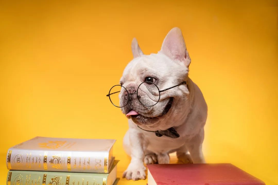 故事大全成人睡前幽默段子,搞笑幽默的段子故事