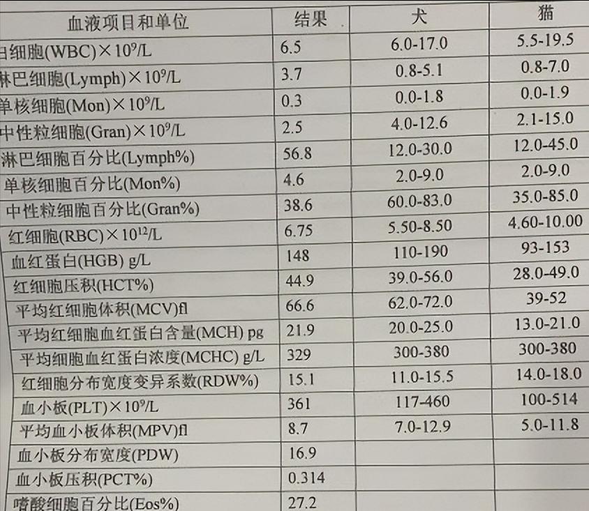 细小治愈后还是没精神,细小治愈了站不起来了
