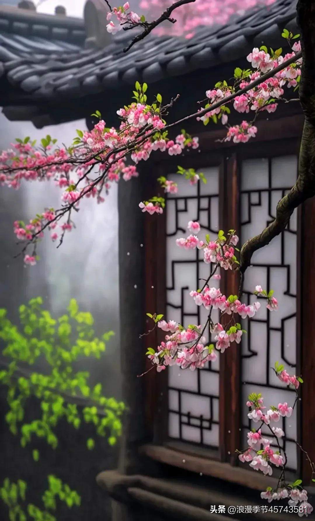 春暖花开日光倾城散文,春暖花开的季节散文