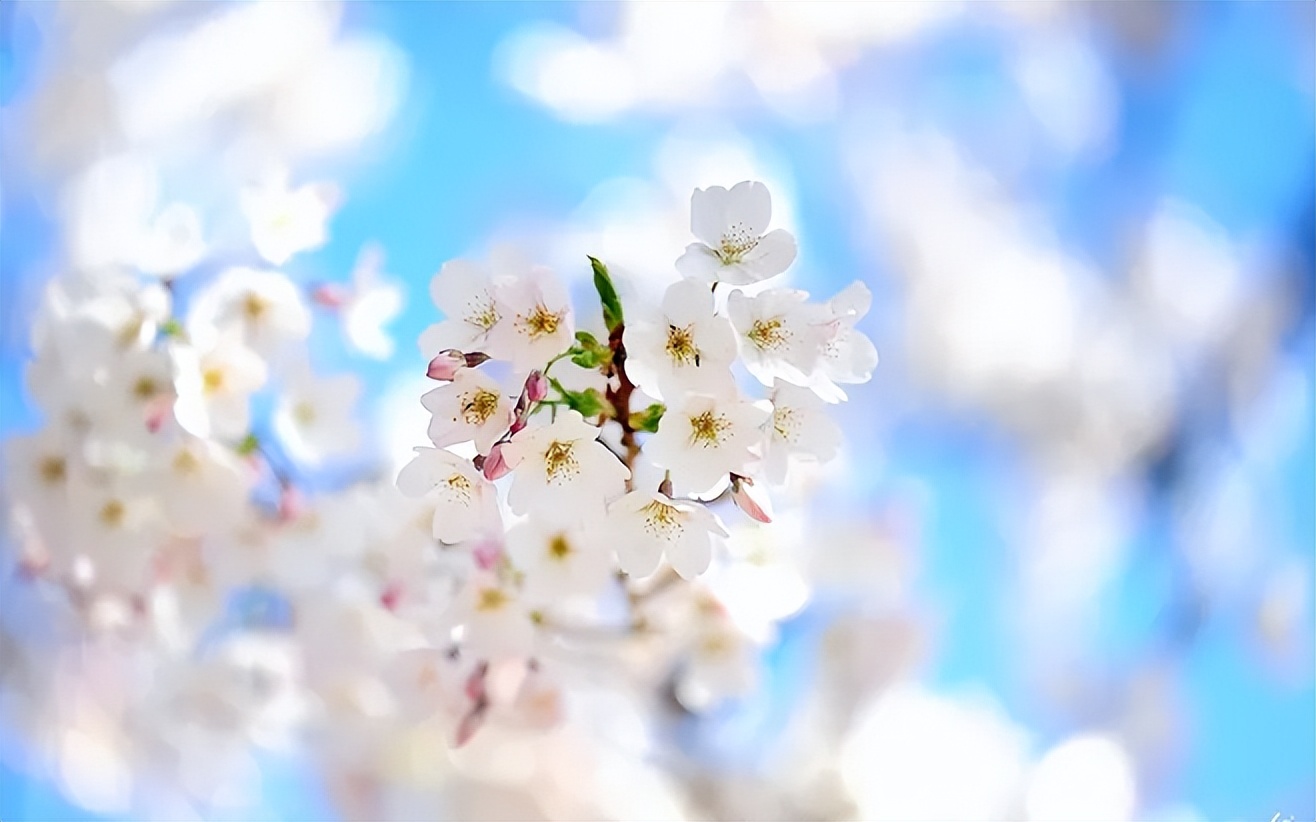 男人对你冷淡时正确的做法,男人对你冷淡了教你两招终身受用